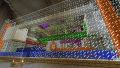 Floor 3: The Wool/Glass Labyrinth challenge.